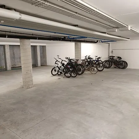 Olivo 3s